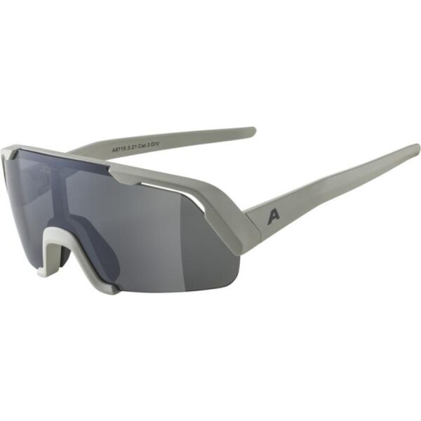 Alpina Sports ROCKET YOUTH Sluneční brýle, šedá, velikost